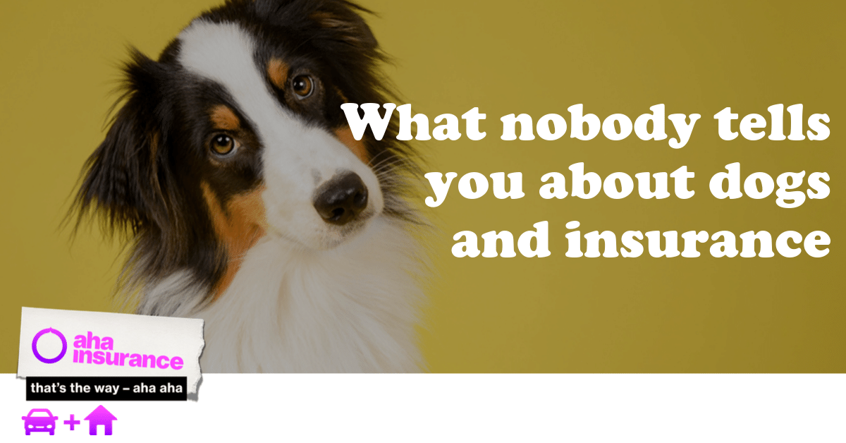 Homeowner's insurance, dogs, and the facts