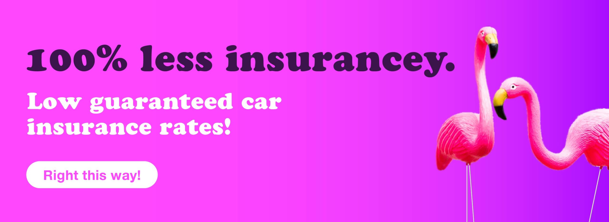 "100% less insurancey" beside two plastic lawn flamingos on a purple background.