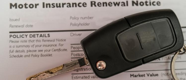 A sample car insurance renewal form for making changes.